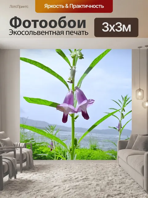 Фотообои Цветок