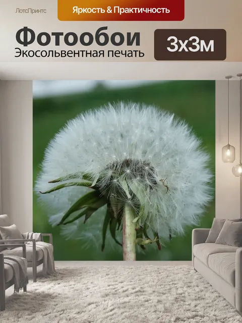 Фотообои Одуванчик