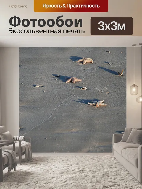 Фотообои Морская звезда