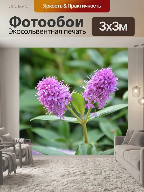 Фотообои Цветы