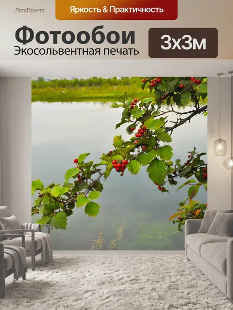 Фотообои Отделение с красными ягодами на Rive