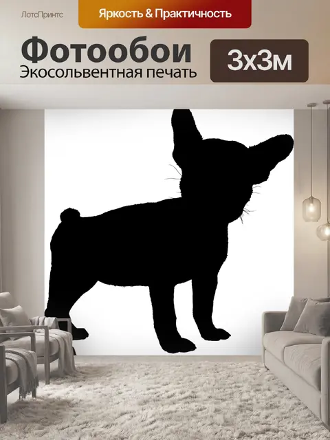 Фотообои Собака