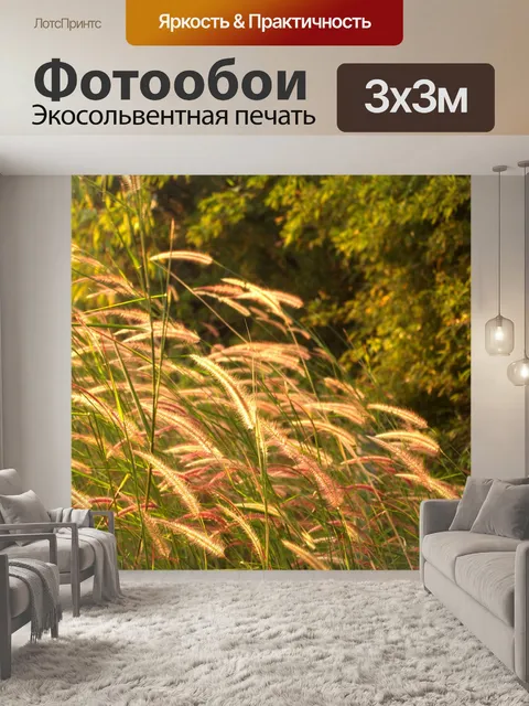Фотообои Цветки одичалые Стоковая Фотография