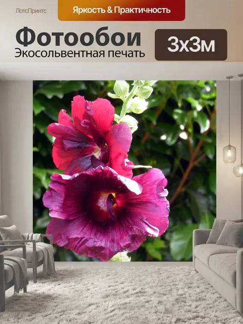 Фотообои Розы