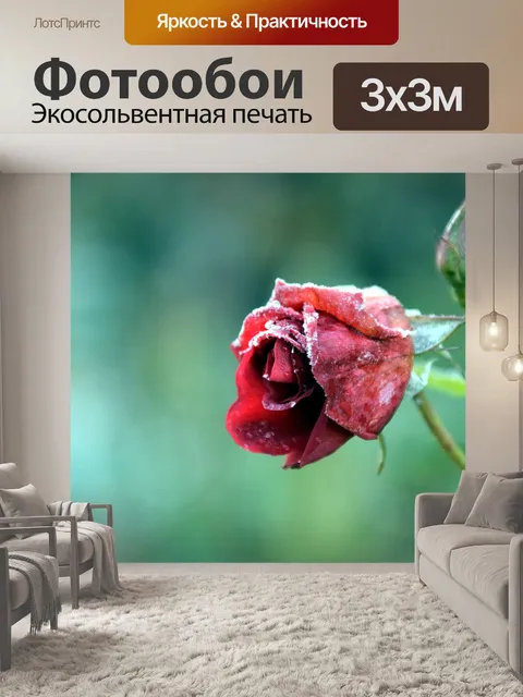 Фотообои Роза