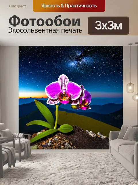 Фотообои орхидея, растущая на высоком хребте гор под звездным небом