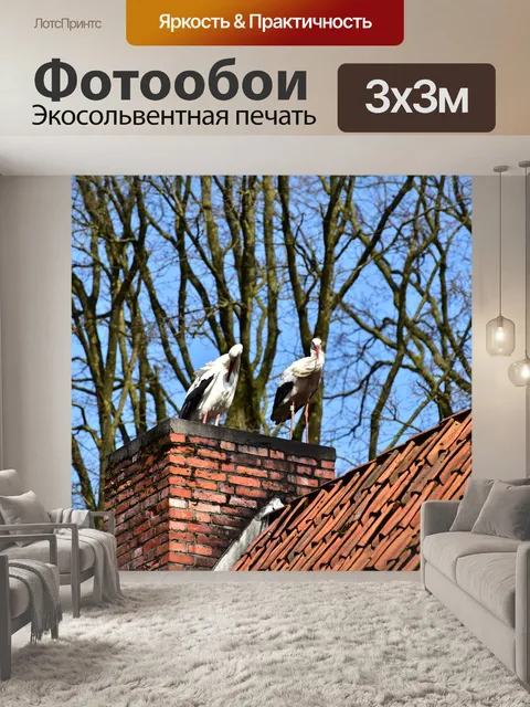 Фотообои Аист