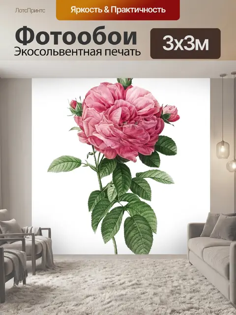 Фотообои Роза цветок старинная картина