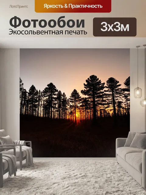 Фотообои лес с величественными силуэтами деревьев на фоне заката