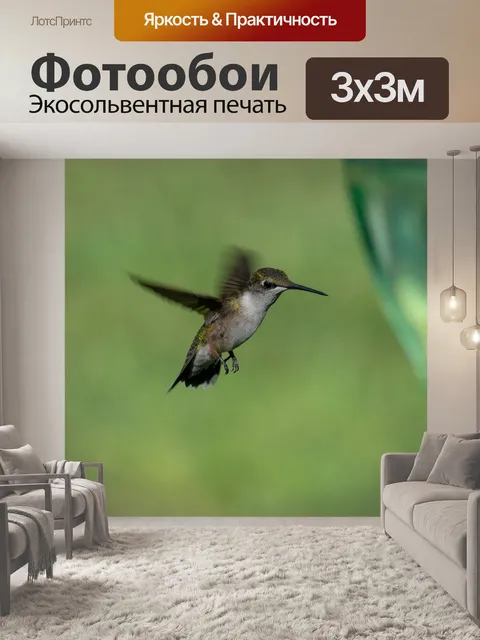 Фотообои Птица
