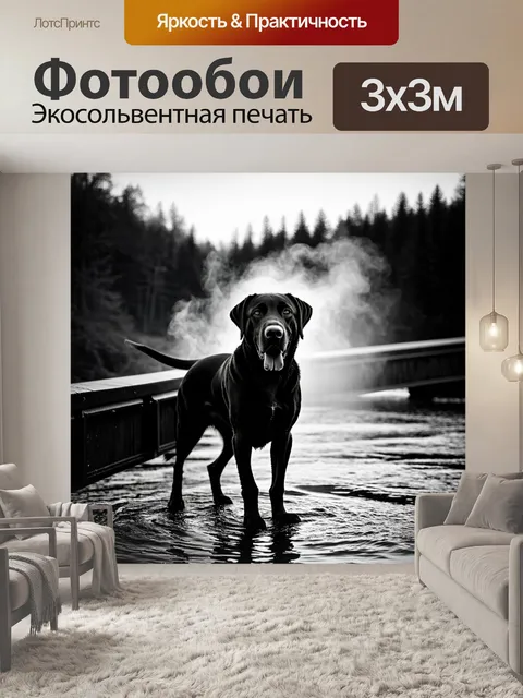 Фотообои лабрадор, стоит на мосту над рекой в туманную утреннюю зарю, вокруг него легкий подъем пара от воды