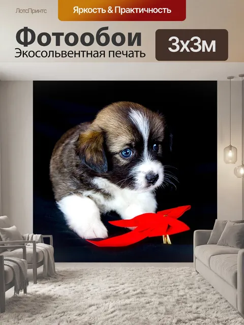 Фотообои Животные