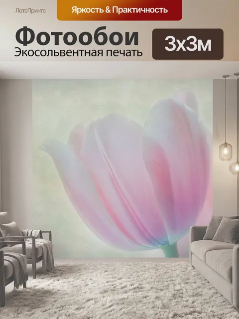 Фотообои Тюльпан