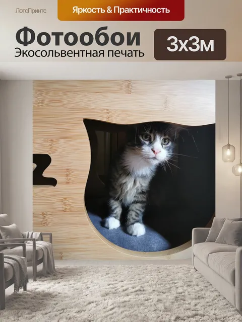 Фотообои Кошка