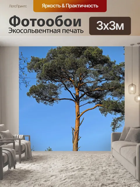 Фотообои Лес