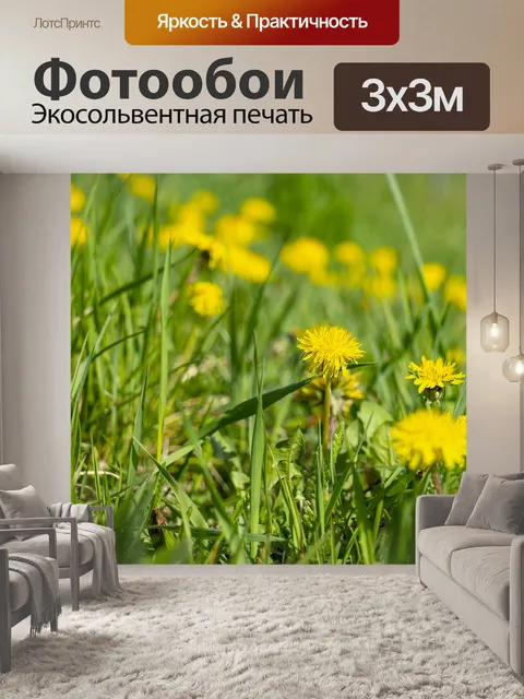 Фотообои Одуванчик