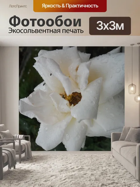 Фотообои Цветы