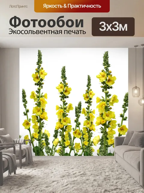 Фотообои Полевые цветы