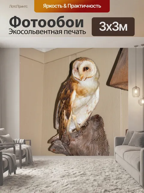 Фотообои Таксидермия Bird 3