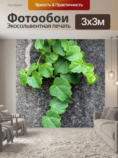 Фотообои Вьюнок
