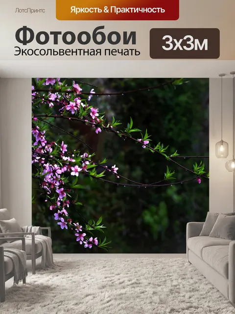 Фотообои Персиковый цвет