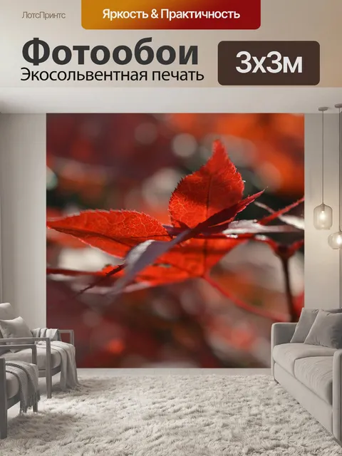 Фотообои Клен