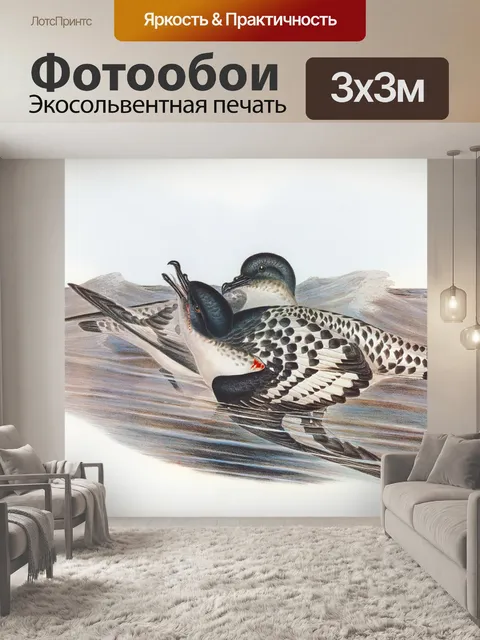 Фотообои Чайка птица винтаж старый