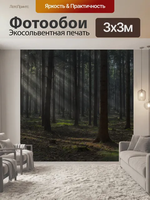Фотообои солнечные лучи в лесу V