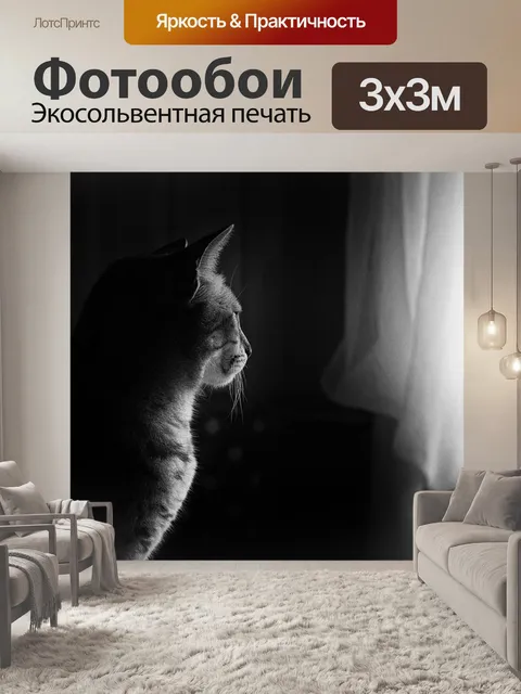 Фотообои Кошка