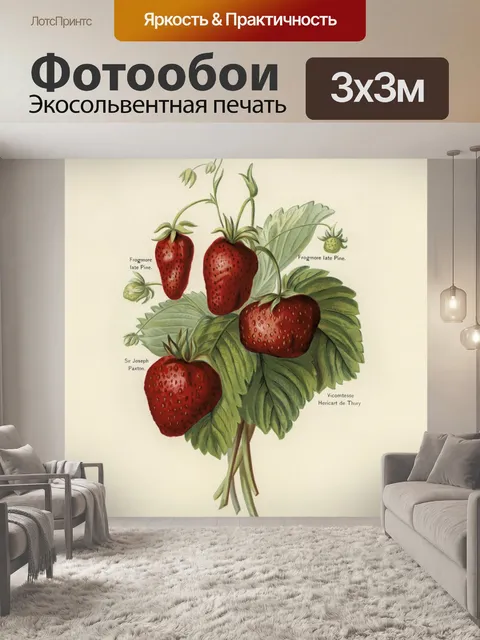 Фотообои Клубника с фруктами винтажного искусства
