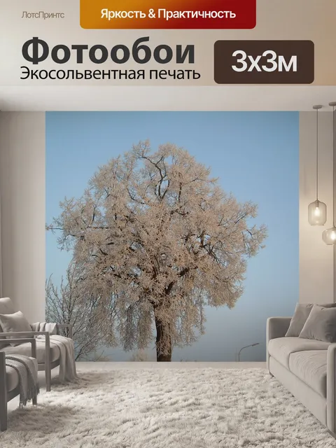 Фотообои Зима