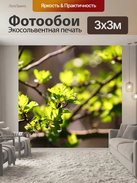 Фотообои Листья