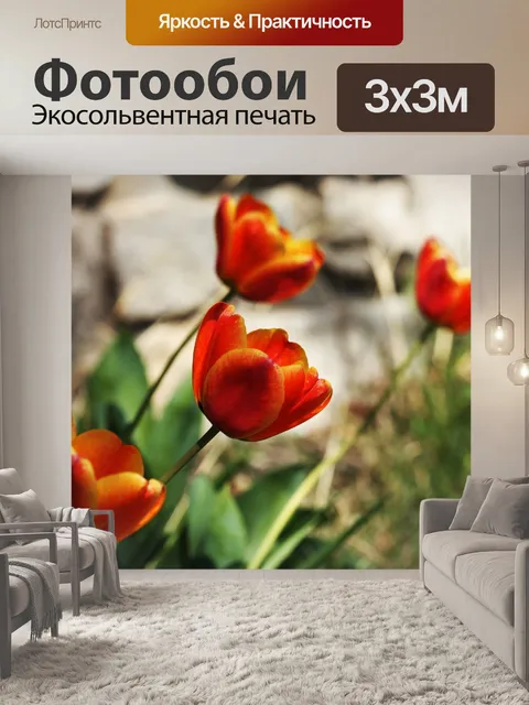 Фотообои Оранжевые тюльпаны, достигающие солнца
