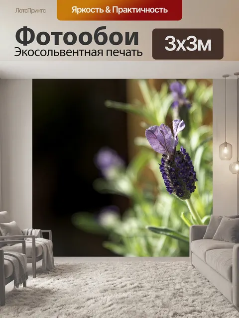 Фотообои Лаванда