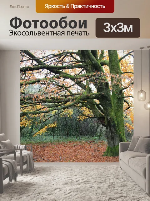Фотообои Дерево