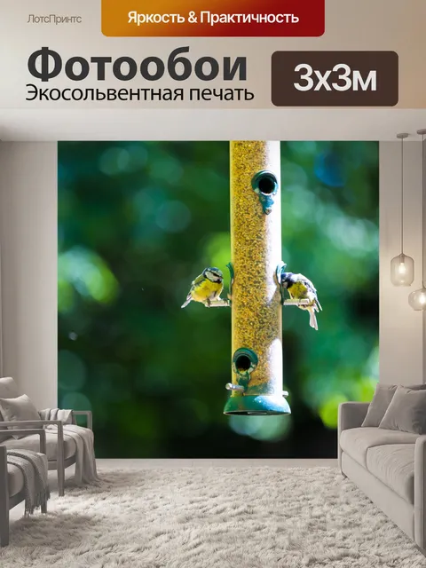 Фотообои Сад Кормушку