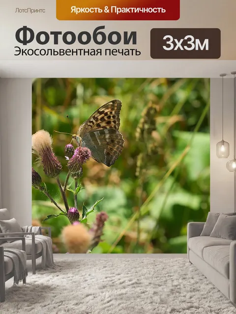 Фотообои Лес