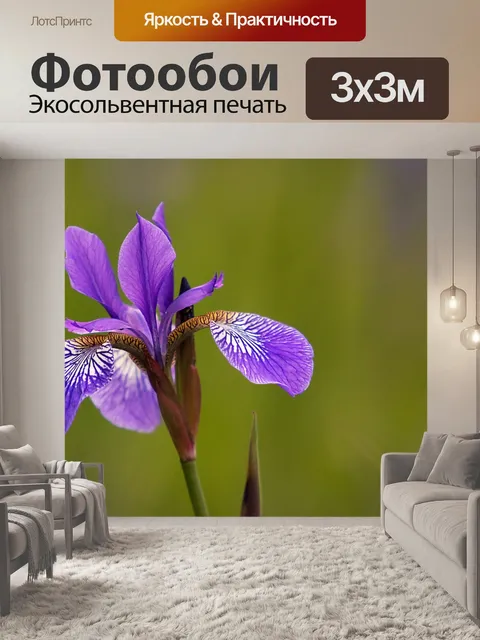 Фотообои Природа