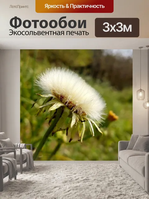 Фотообои Пейзаж