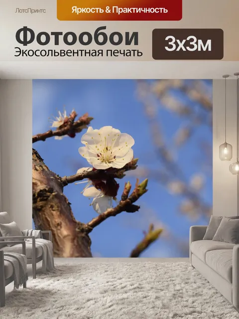 Фотообои Весна