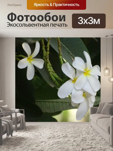 Фотообои Цветы