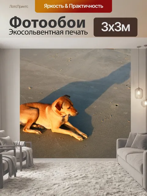 Фотообои Собака