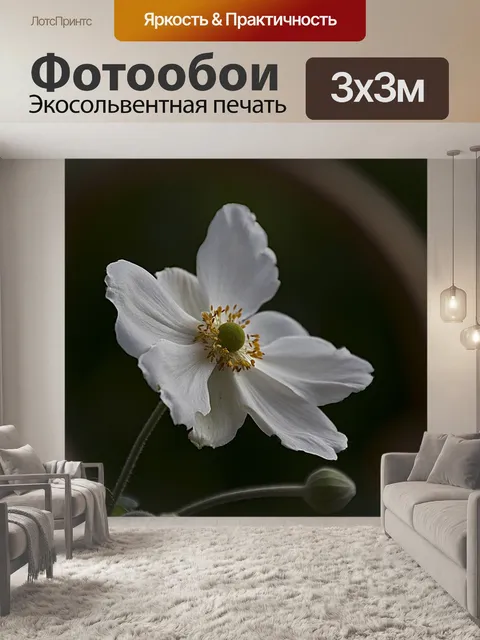 Фотообои Зима