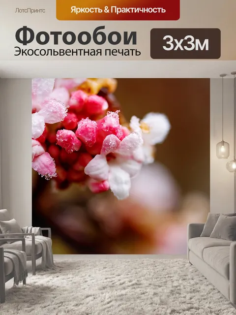 Фотообои Расцветает