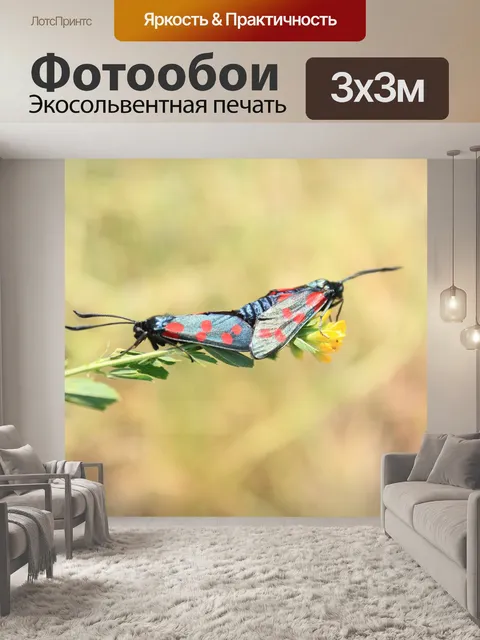 Фотообои Чернить