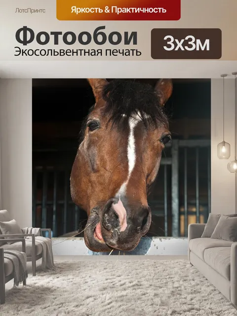 Фотообои Лошадь