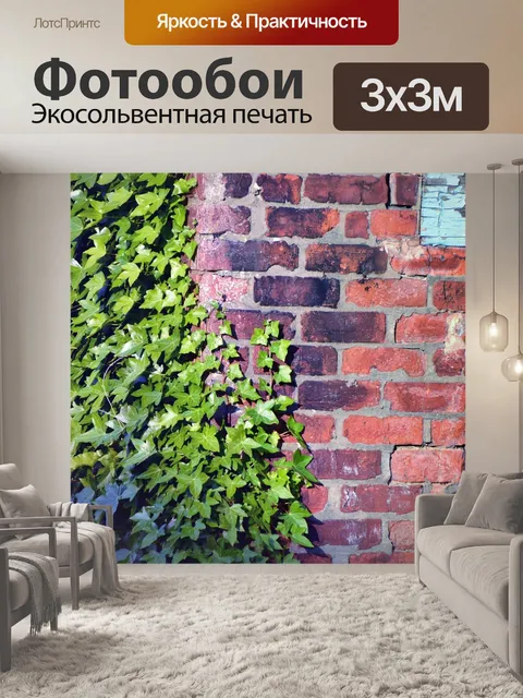 Фотообои Стена