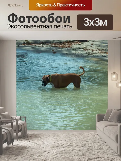 Фотообои Собака
