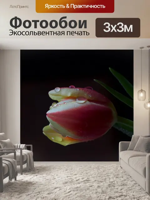 Фотообои Цветок