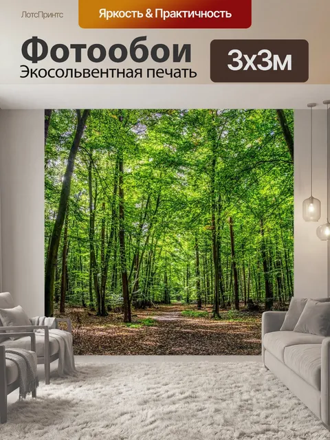 Фотообои Лес